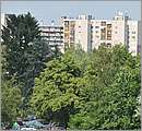 DSC_5314.JPG