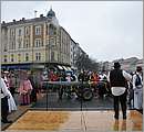 DSC_8260.JPG