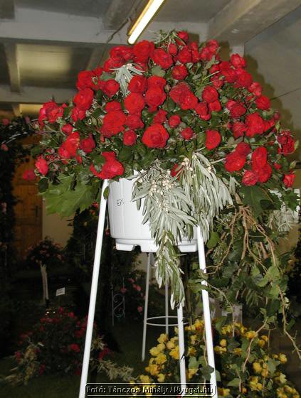 rP9147130_tm.jpg