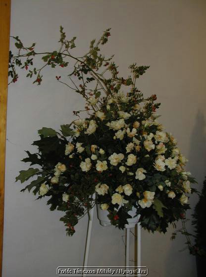 rP9147137_tm.jpg