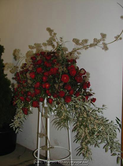 rP9147138_tm.jpg