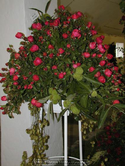 rP9147172_tm.jpg