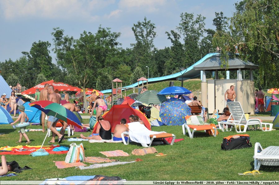 DSC_7982.JPG