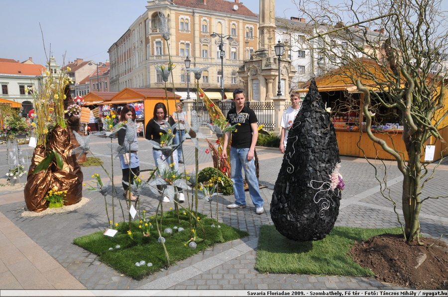 DSC_3037_vir.JPG