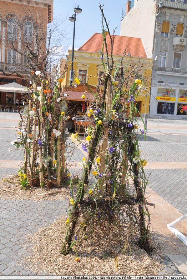 DSC_3096.JPG