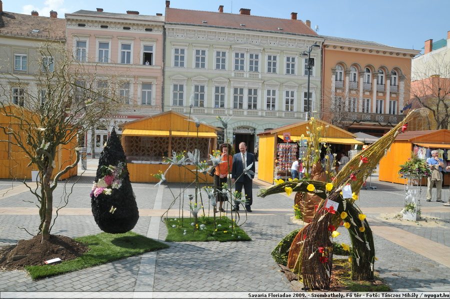 DSC_3112_vir.JPG