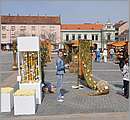 DSC_3038.JPG