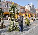 DSC_3041.JPG