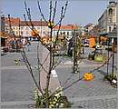 DSC_3049.JPG