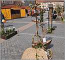 DSC_3050.JPG