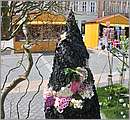 DSC_3069.JPG