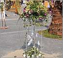 DSC_3071.JPG