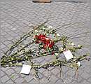 DSC_3075.JPG