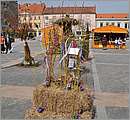 DSC_3083.JPG