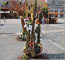 DSC_3095.JPG
