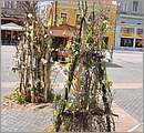 DSC_3096.JPG