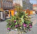 DSC_3127.JPG