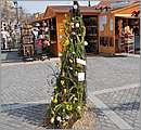 DSC_3134.JPG