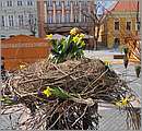 DSC_3139.JPG