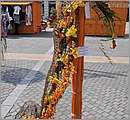DSC_3141.JPG