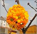 DSC_3158.JPG