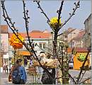 DSC_3159.JPG