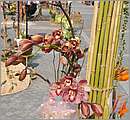 DSC_3162.JPG