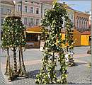 DSC_3164.JPG