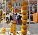 DSC_3172.JPG