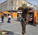 DSC_3174.JPG