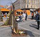 DSC_3175.JPG
