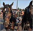 DSC_0472.JPG