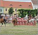 DSC_1431.JPG