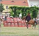 DSC_1433.JPG