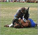 aDSC_1353.JPG