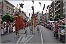 DSC_8865.JPG