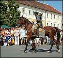 DSCF0494.jpg