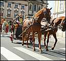 DSCF0599.jpg