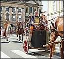 DSCF0600.jpg