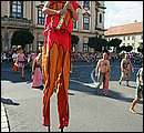 DSCF0838.jpg