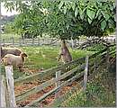 DSC_9039.JPG