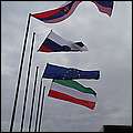 P9284478.jpg