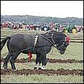 P9284591.jpg