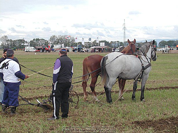 P9284461.jpg