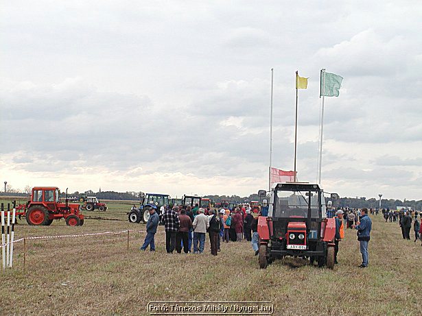 P9284553.jpg