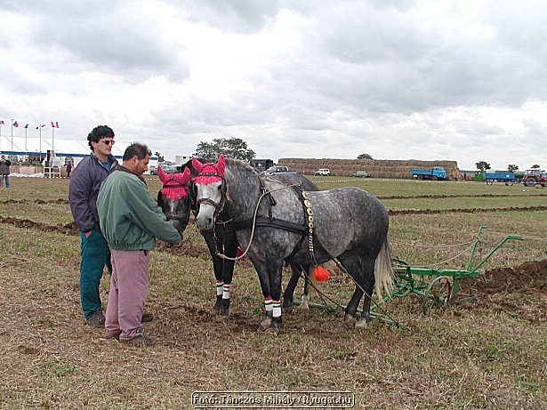 P9284558.jpg