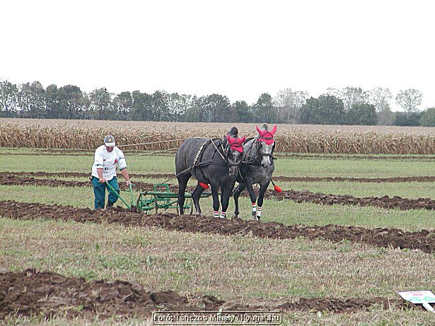 P9284604.jpg