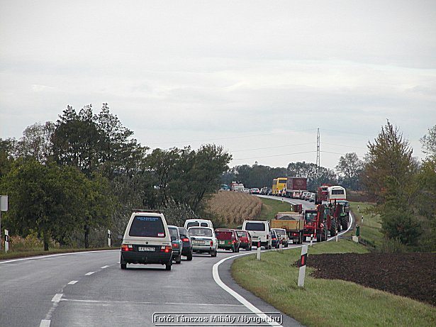 aP9284426.jpg