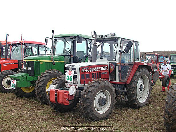 aP9284444.jpg