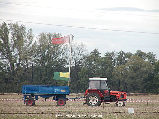 aP9284455.jpg